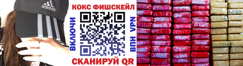COCAIN Fish Scale Темников