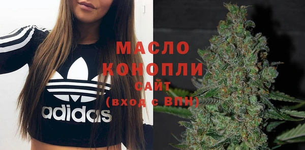 индика Покачи