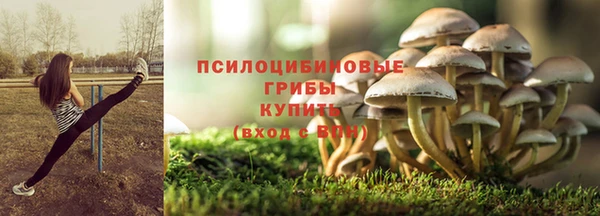 индика Покачи