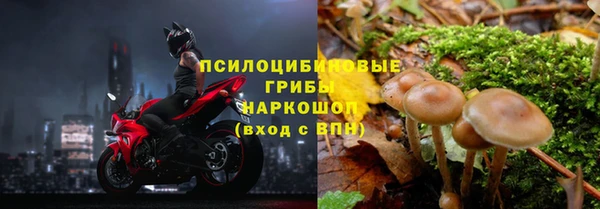 гидропоника Покровск