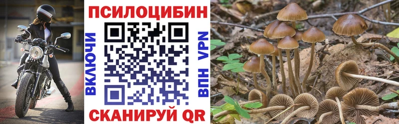 где купить наркотик  ОМГ ОМГ рабочий сайт  Псилоцибиновые грибы прущие грибы  Темников 